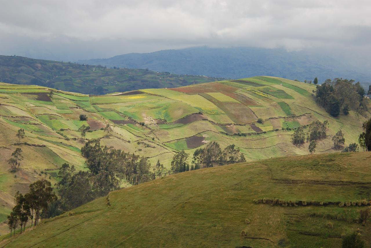 Willa Turismo Comunitario La Esperanza Hacienda Colta Zewnętrze zdjęcie
